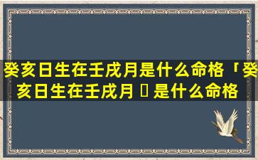 癸亥日生在壬戌月是什么命格「癸亥日生在壬戌月 ☘ 是什么命格的人」